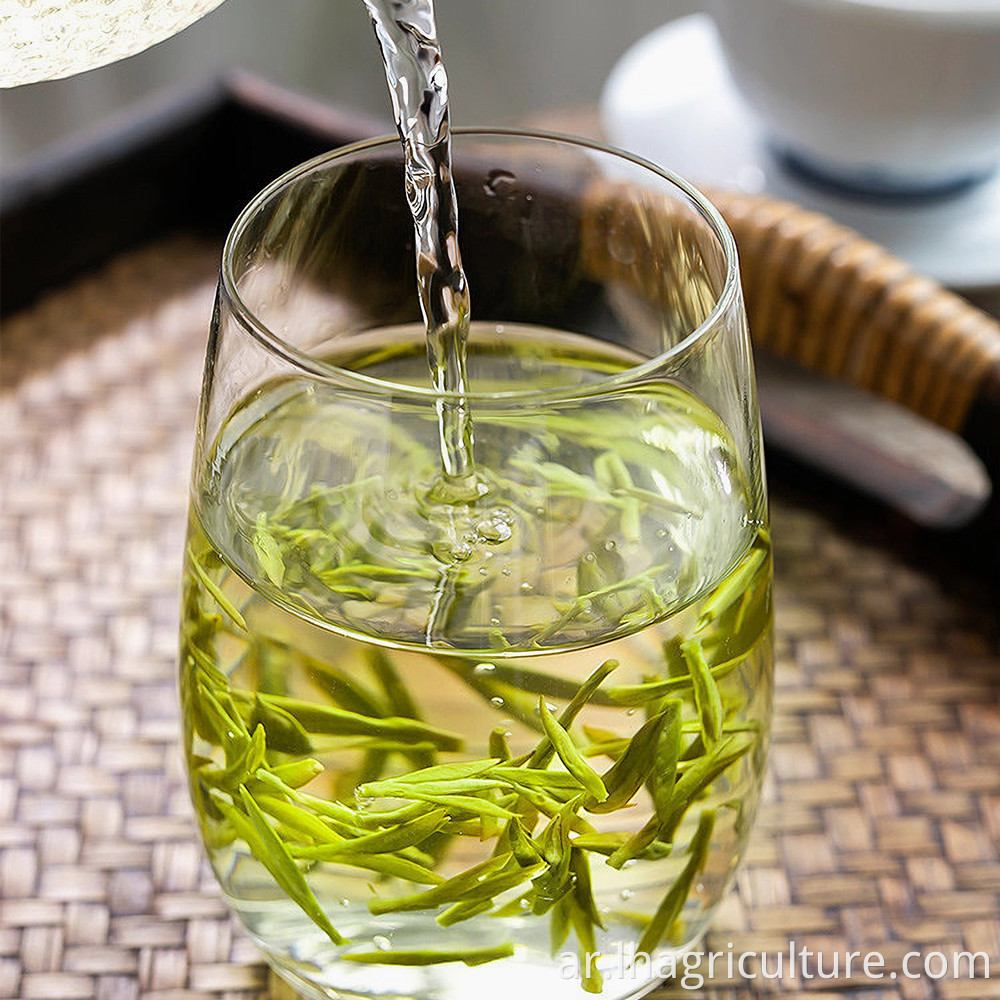 Green Tea Health